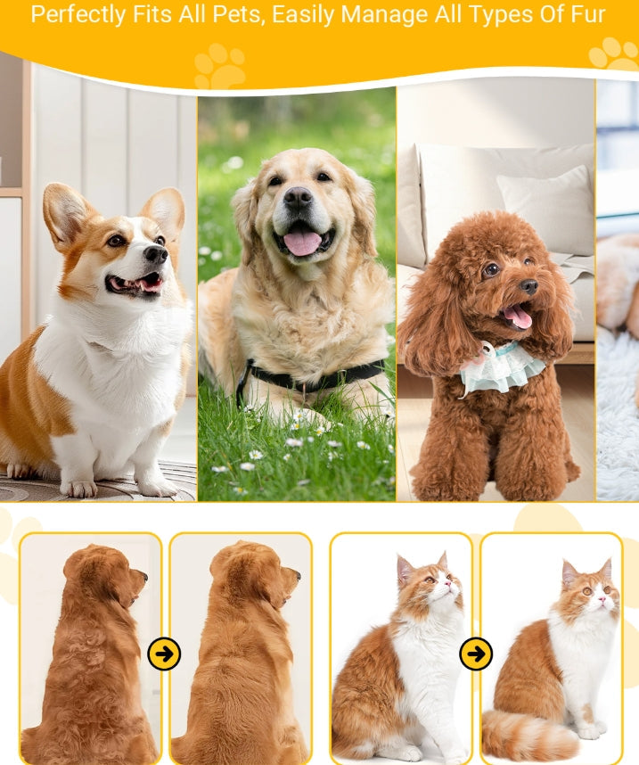 💥Hot Sale 50% OFF🐕Pet Professional Brush