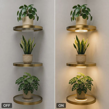 📢📢50% OFF !! ⏰Floating Wall Shelf with Built-in Ambient LED Light